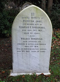 Private Wallace Shrofield Sheldrake. 35245.