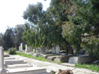 Marsa Jewish Cemtery