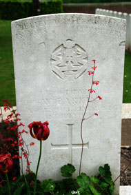Private William Parkin. 17256. 